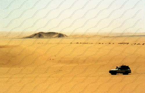 Sahara desert sand with 4x4 car driving