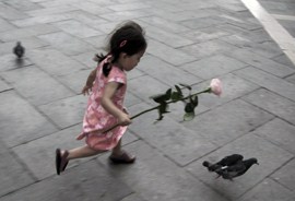 Child with rose running after pigeons in Venice Italy.