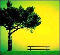 Tree with table against a green and yellow background